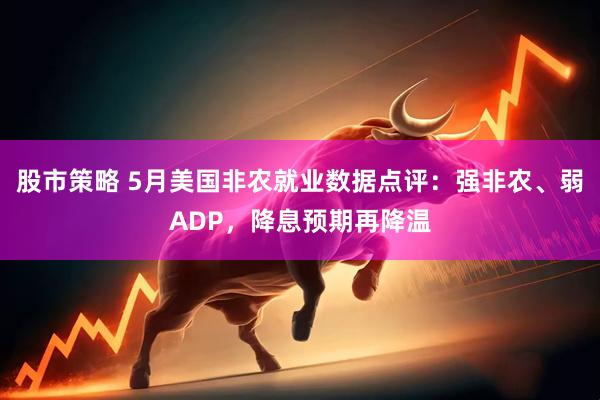 股市策略 5月美国非农就业数据点评：强非农、弱ADP，降息预期再降温
