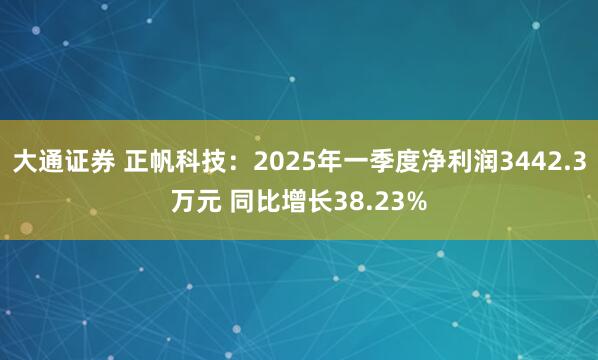 大通证券 正帆科技：2025年一季度净利润3442.3万元 同比增长38.23%
