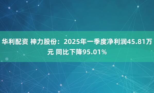 华利配资 神力股份：2025年一季度净利润45.81万元 同比下降95.01%