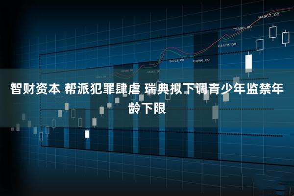 智财资本 帮派犯罪肆虐 瑞典拟下调青少年监禁年龄下限